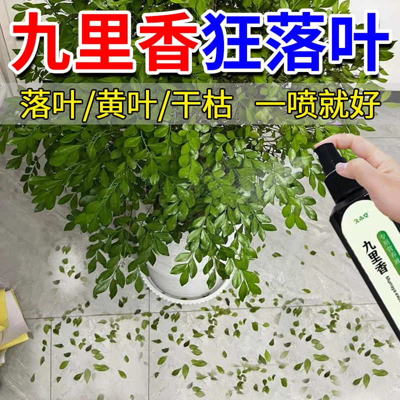 【急救落叶】九里香专用营养液防黄叶落叶不开花植物喷施叶片生长