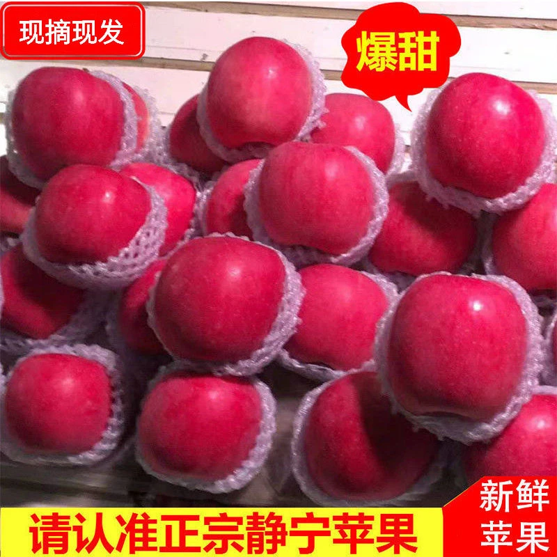 【正宗现摘】静宁红富士苹果精品脆甜多汁甘肃新鲜果整箱产地直发