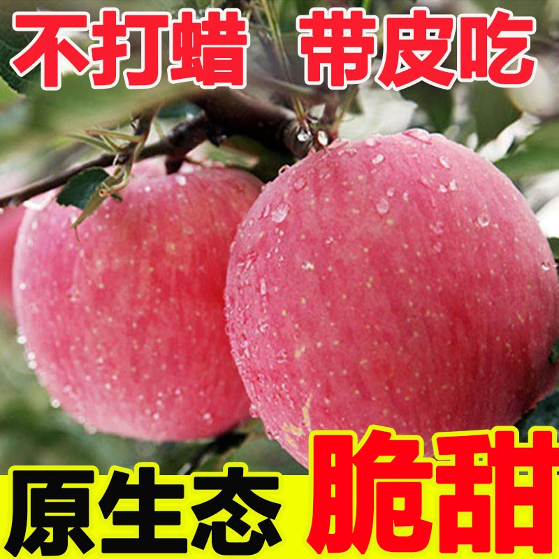 正宗陕西红富士苹果农家应季水果脆甜冰糖心苹果孕妇水果自然鲜红