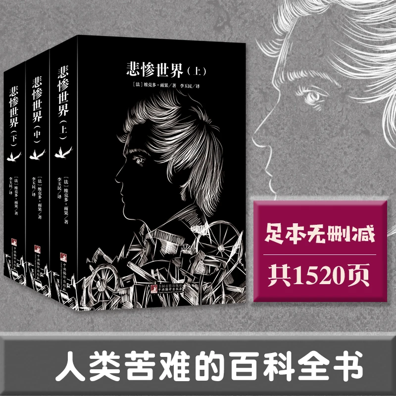 【新云仓】经典新读 悲惨世界:全3册