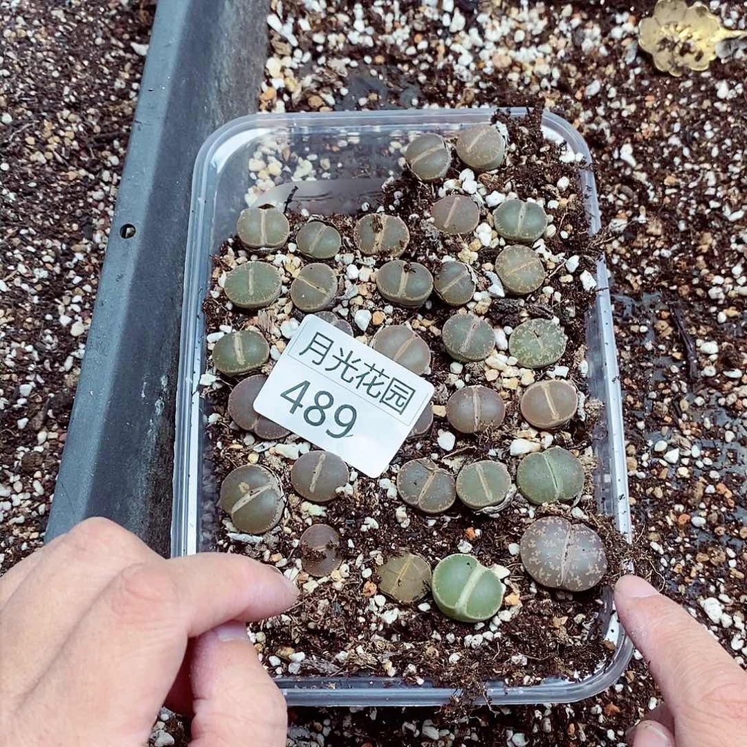 我要看电影呢还是等你们下班489