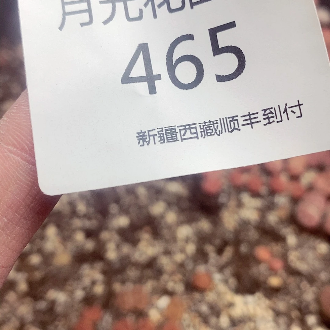阿*慕我们还不一定在一465