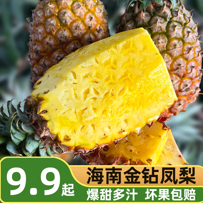 正宗海南凤梨金钻17号凤梨大果爆甜多汁新鲜水果坏果包赔5-8斤