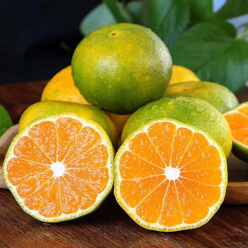 【两单送货】黄岩蜜桔 酸甜口 5斤装 （默认一单不发）