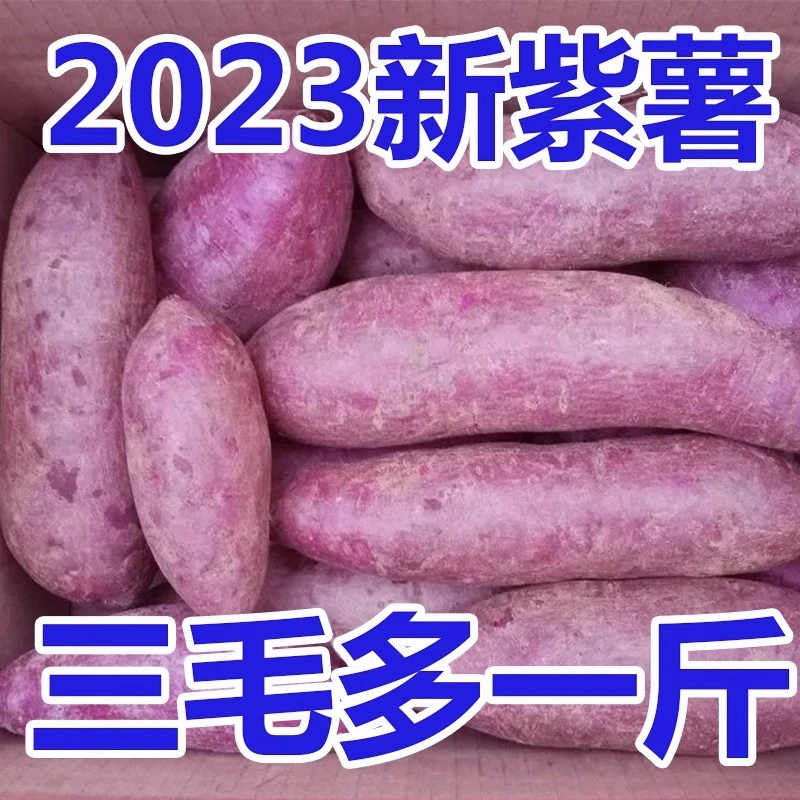 【新店抢购】新鲜紫罗兰紫薯1-9斤现挖沙地紫心蜜薯红薯地瓜香甜
