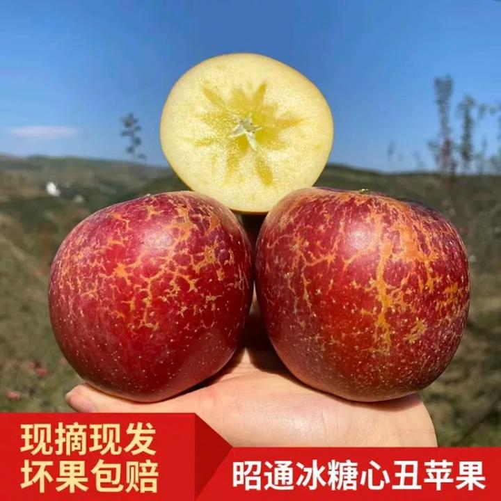 (0)云南昭通冰糖心小苹果新鲜水果脆甜多汁现摘现发高原农家种植