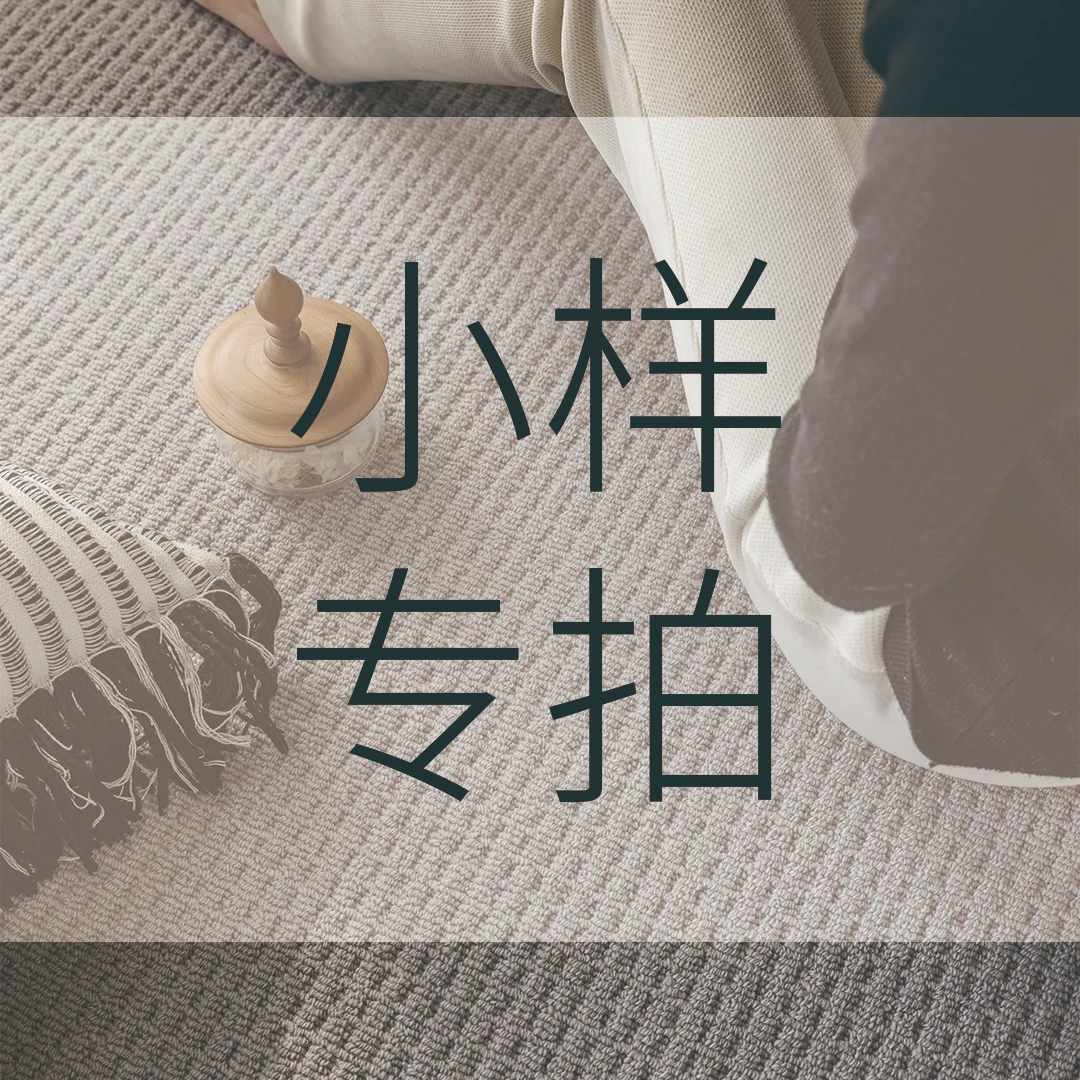 地毯小样专拍链接下单先联系客服备注款式颜色小样尺寸（25*40）