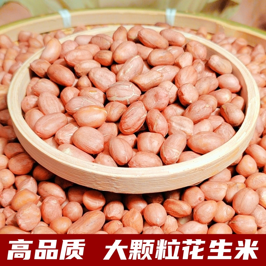 2025年新上市花生米5斤/3斤生花生 河南农家新鲜大颗粒白沙农产品