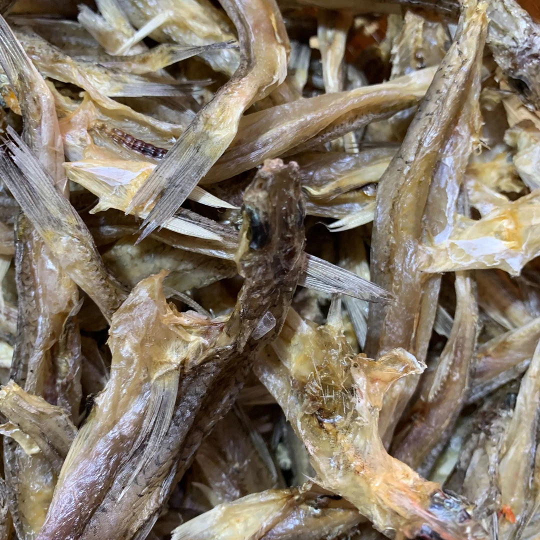 海乌哺 小丁鱼 干海鸥丁鱼 中乌哺  金厢本港鱼500g