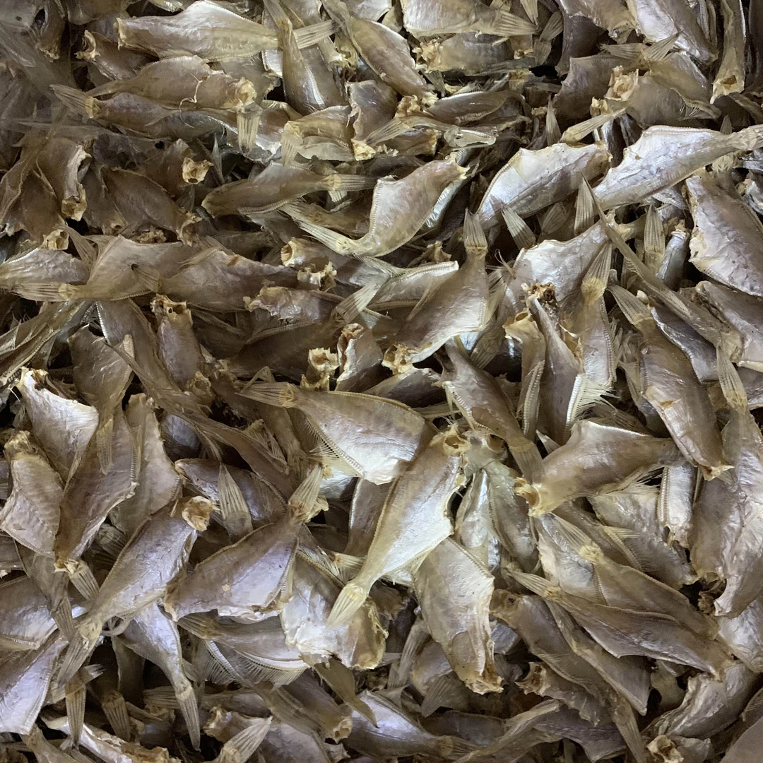 汕尾特产 中迪仔鱼 生晒迪仔鱼  扒皮鱼干剥皮鱼 微咸干货