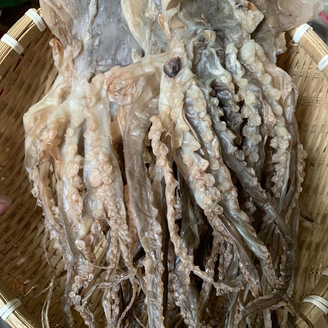 汕尾金厢上章鱼干 孕妇做月子煲汤