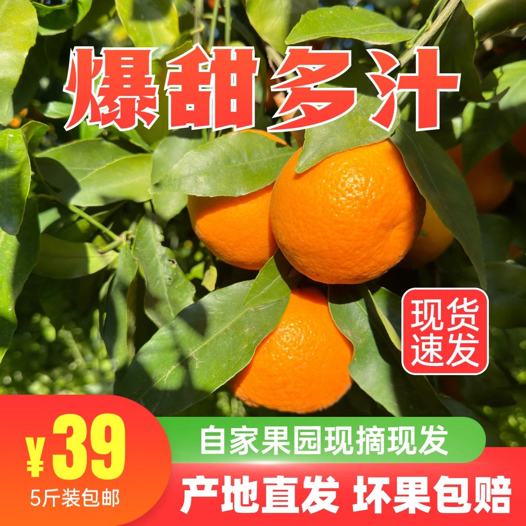 云南大理宾川沃柑新鲜皮薄成熟清甜发货酸甜采摘品质