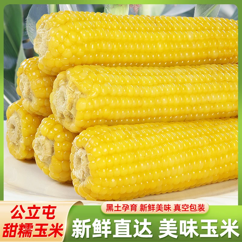 【卢小开优选】262玉米小棒8根装真空新鲜采摘真空包装营养甄选