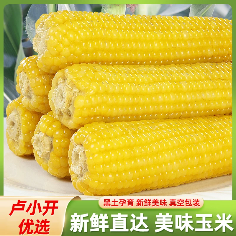 （卢小开优选）香甜糯玉米262大棒8根装头茬新鲜采摘真空包装