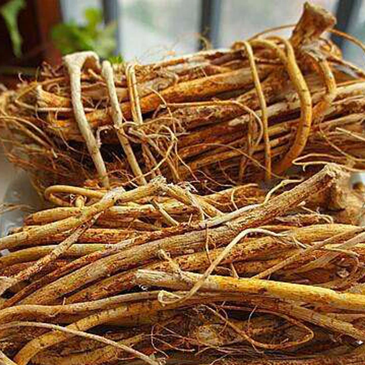 【五指毛桃】现收土特产~菇~（非菇）