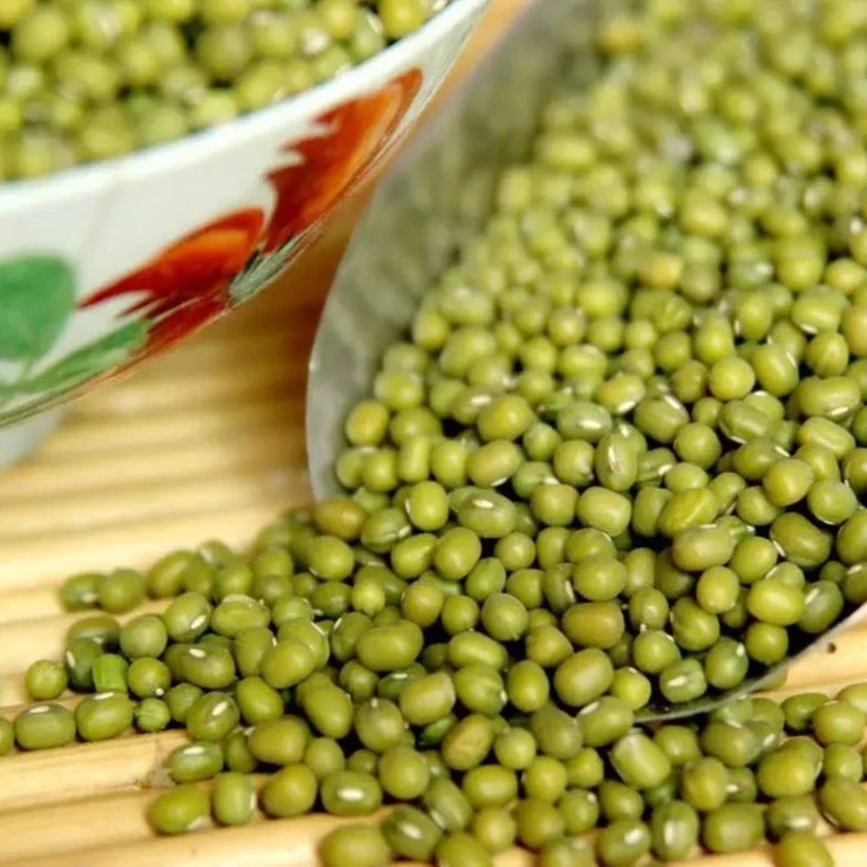 【绿豆】3斤~现收土特产~菇~（非菇）