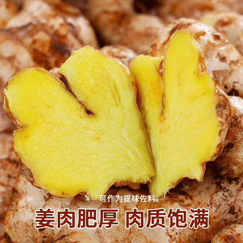 满赠 云南山地小黄姜 10克
