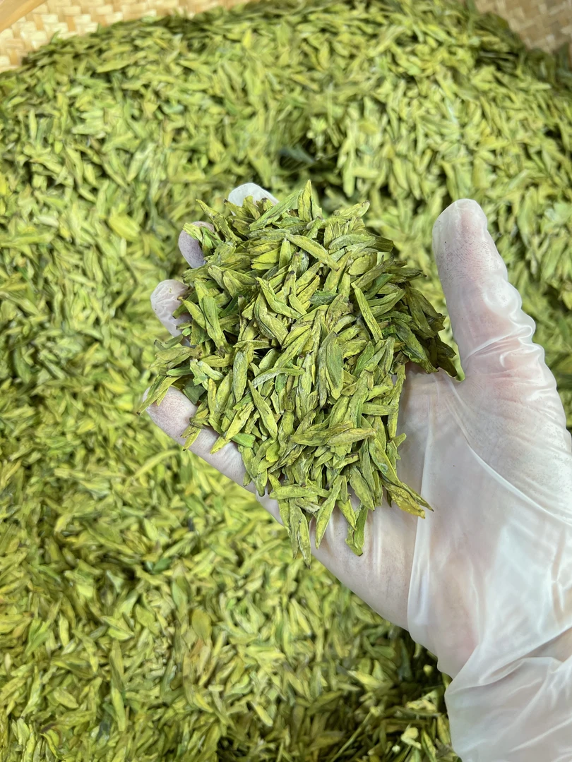 【A 26款】2023新茶高山龙井茶群体种老茶树浓郁型