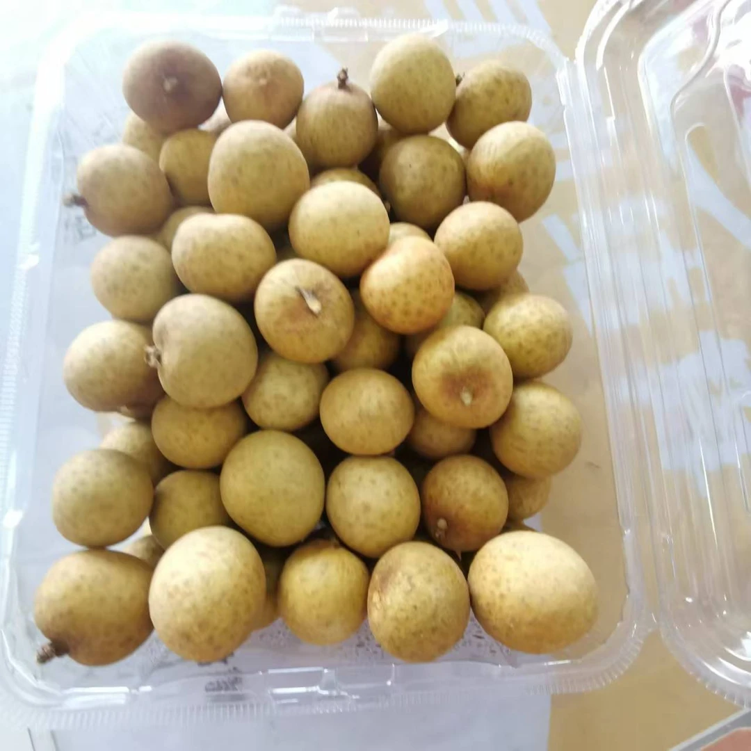 泰国双JJ龙眼1盒700g