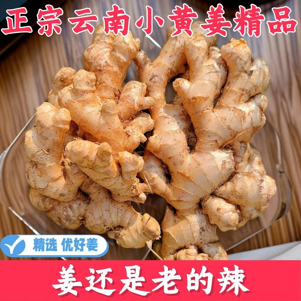 【小黄姜老姜正宗精品】正宗云南小黄姜生姜香辣月子姜仔姜包邮