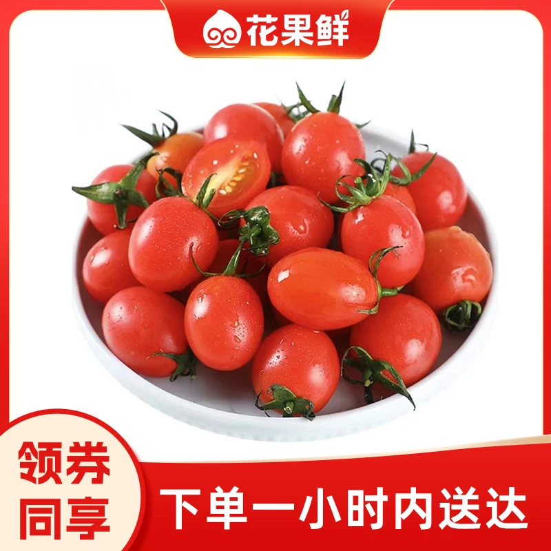 樱桃圣女茄1份约500g 小番茄同城配樱桃小番茄