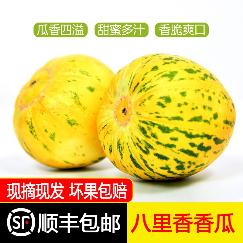[顺丰包邮]八里香花姑娘蜜罐甜瓜3/5斤脆甜多汁香甜孕妇水果