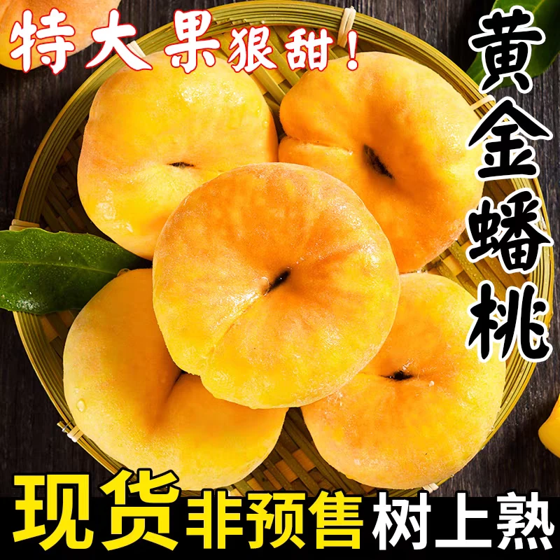 蒙阴黄毛蟠桃5斤当季新鲜脆甜黄肉蜜桃子现摘黄心扁桃水蜜桃邮3斤