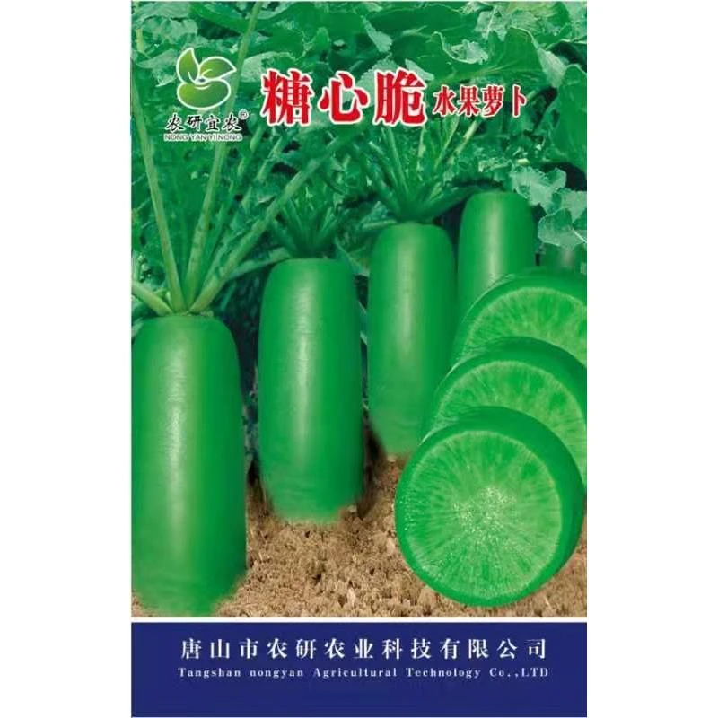 糖心脆水果萝卜种子