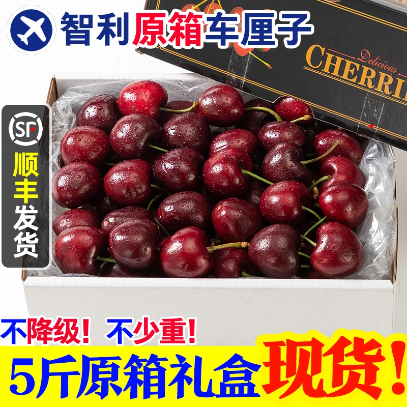 【5斤原装礼盒】智利J-4J进口车厘子新鲜水果大樱桃当季整箱