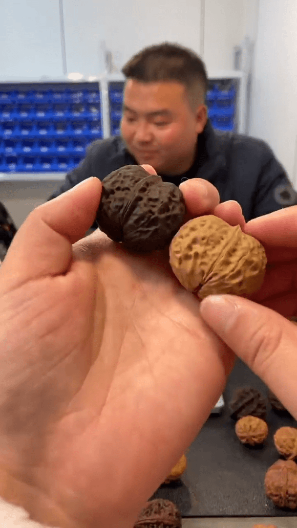 【闪购商品】文玩核桃吊坠七彩龙珠36mm(一物一图)