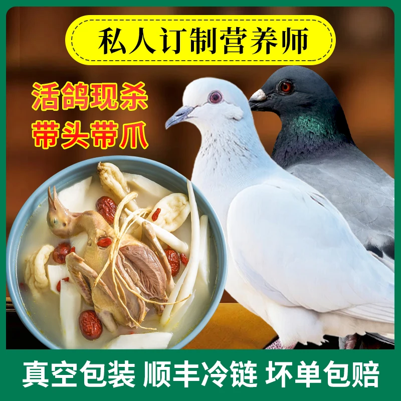 【鸽子现杀新鲜】山东农家散养大乳鸽烧鸽子汤1/2/3只每只净重6-7两