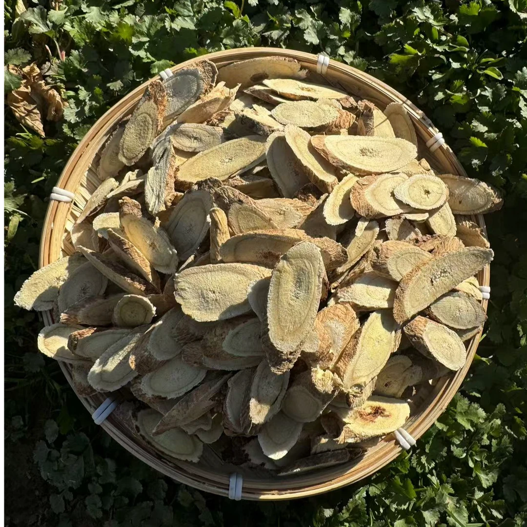 甘肃岷县精选年野外生长老黄芪切片10年左右