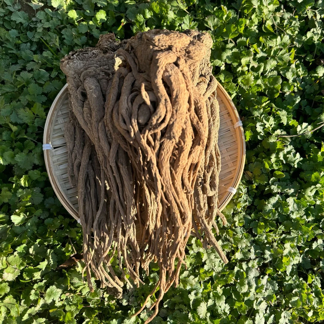 甘肃岷县精选原条当归