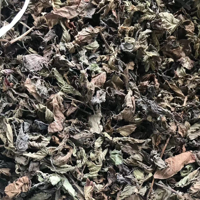 【土阿个教你做海石花膏/仙草冻】海石花仙草膏原材料配做法