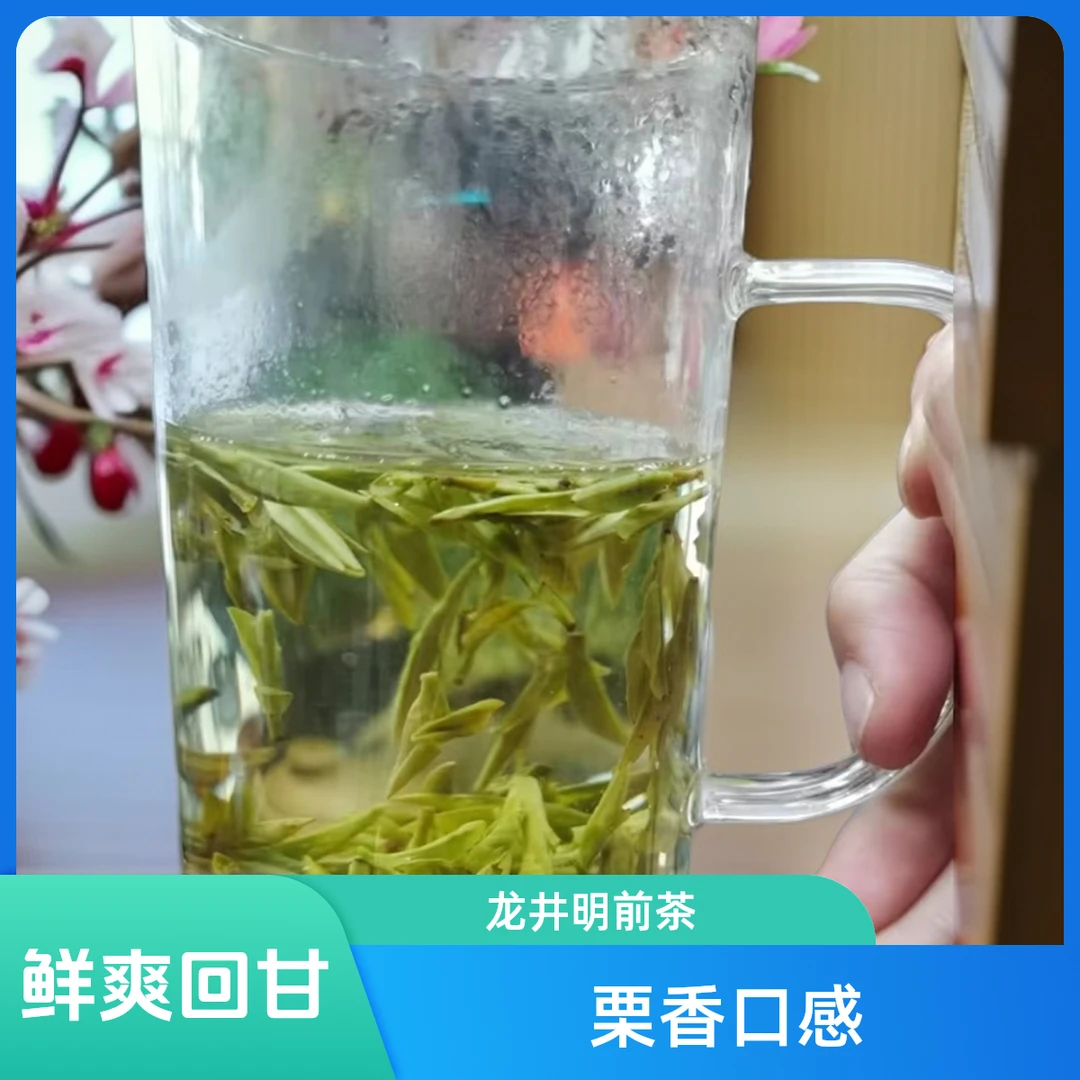 【A3白茶龙井】2024新茶龙井明前龙井浓香型口粮茶龙井袋装罐装