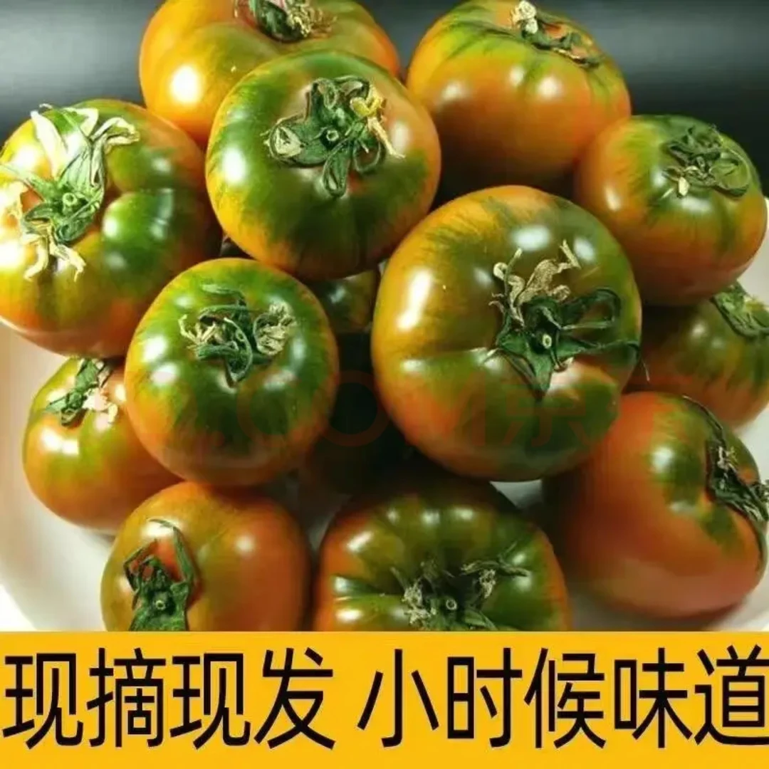 【顺丰/京东】草莓西红柿现摘现发水果番茄3斤包邮