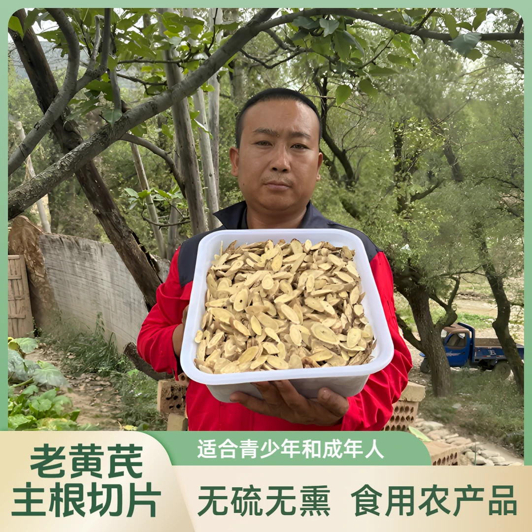 甘肃岷县野外生长十五年左右老黄芪主根切片