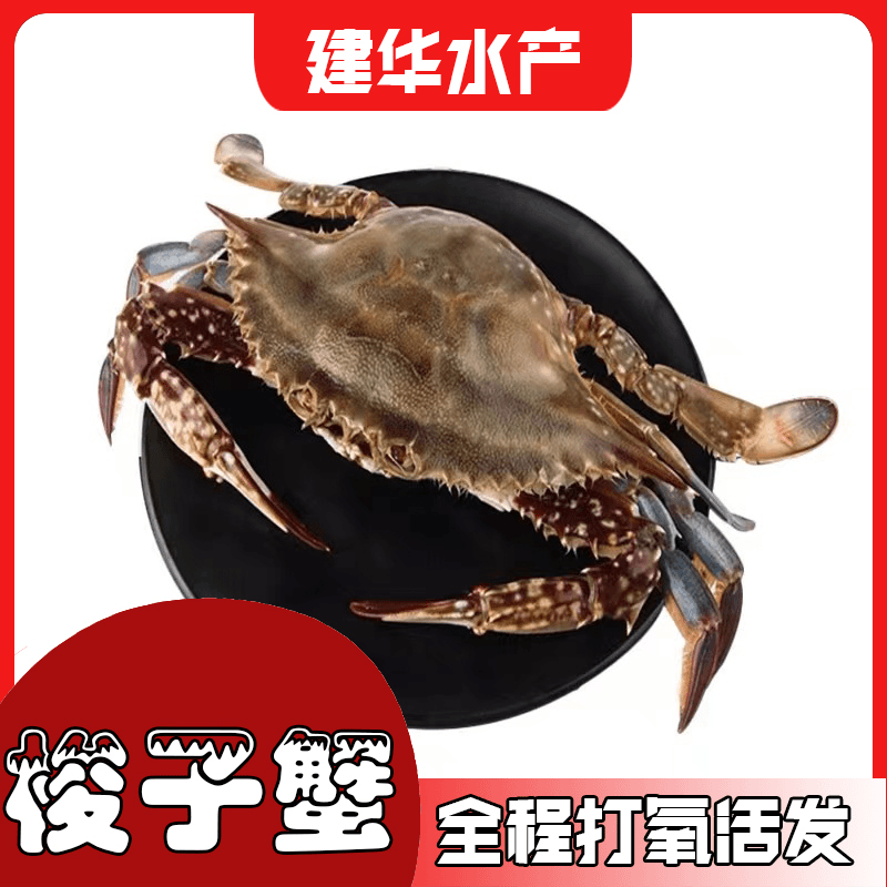 梭子蟹母蟹活发福州市区2-3小时达【福州仓山发货】