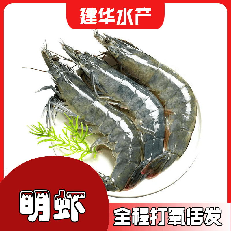 明虾打氧活发福州市区内2-3小时达【福州仓山发货】