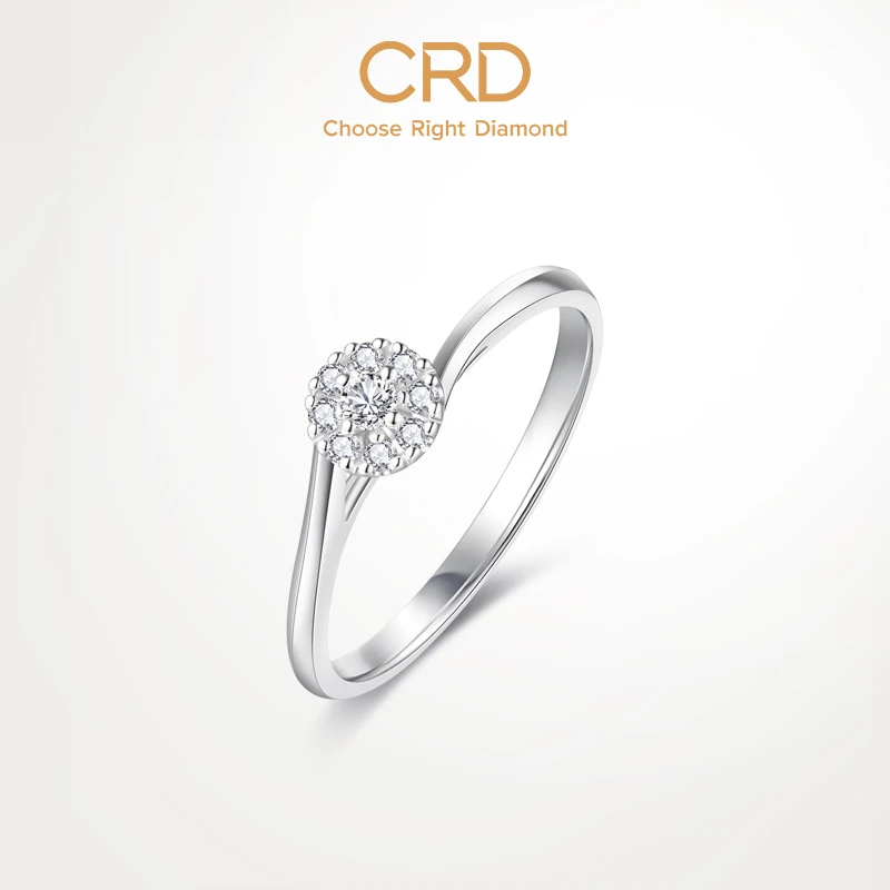 CRD克徕帝钻戒群镶星空铂金钻石戒指经典轻奢豪华镶钻婚戒简约