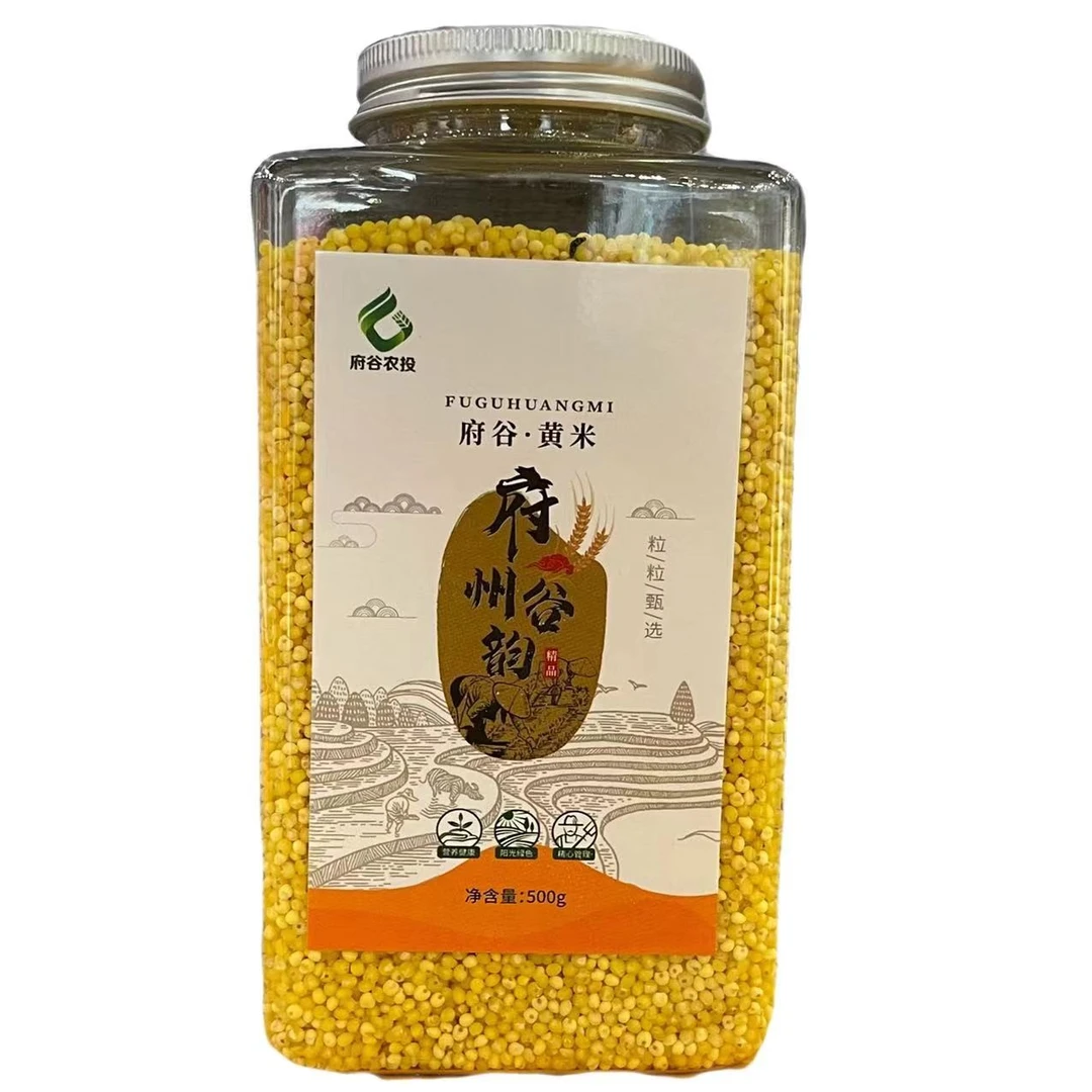 【府州谷韵】 府谷黄米