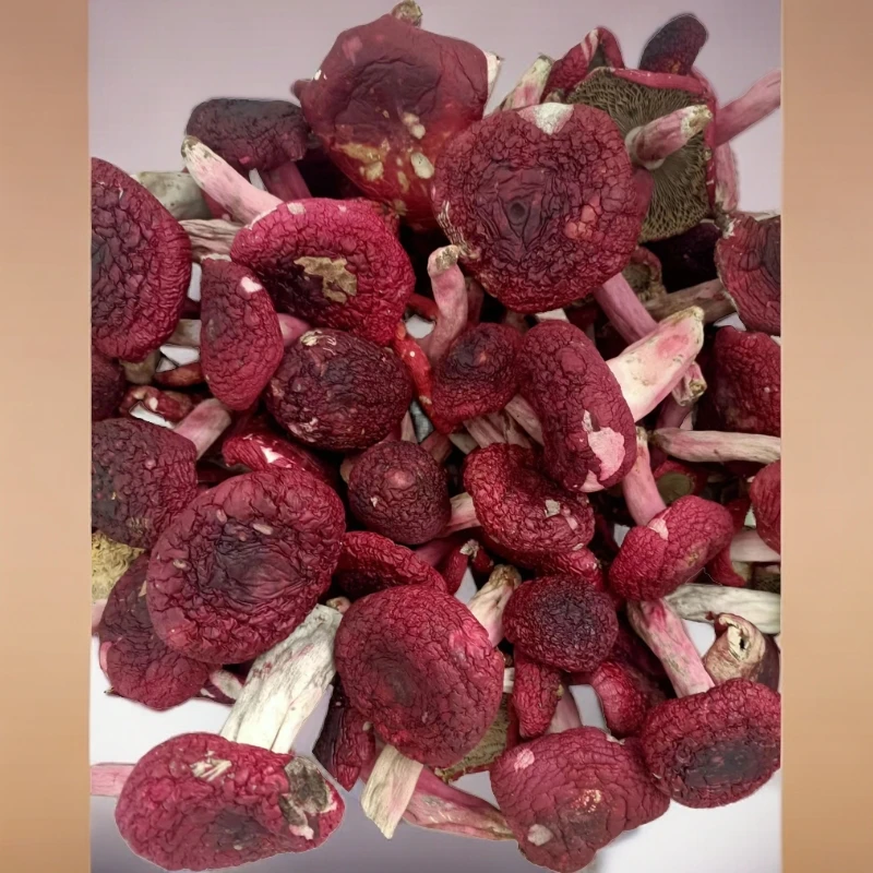 野生红菇滋补养生炖汤月子菇