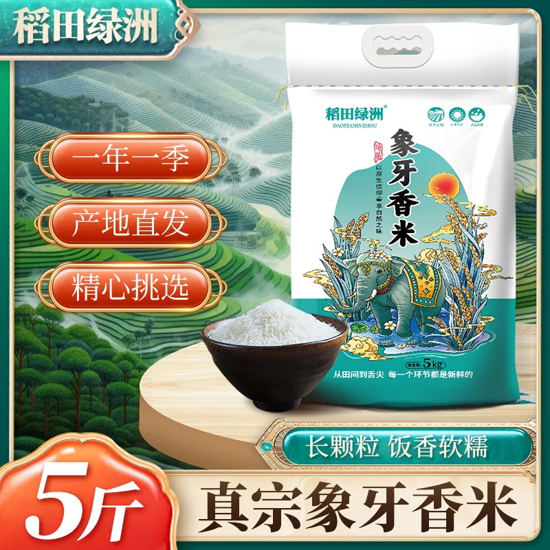 晚稻象牙香米5斤新米晚稻香米长粒香营养米煲仔饭蛋炒饭大米