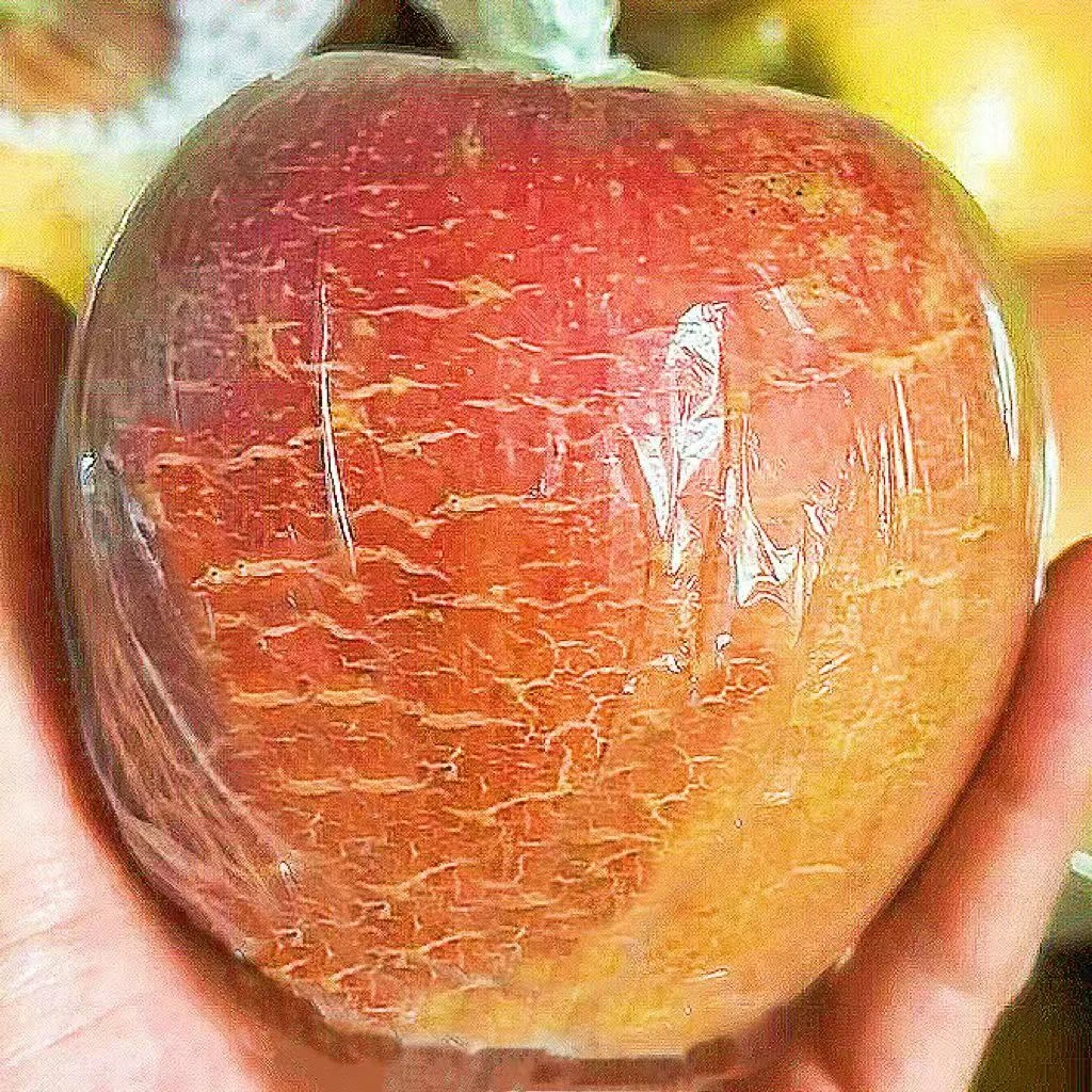 【彩箱送礼精选】正宗徐州丰县大沙河苹果丑苹果当季水果15颗精选果