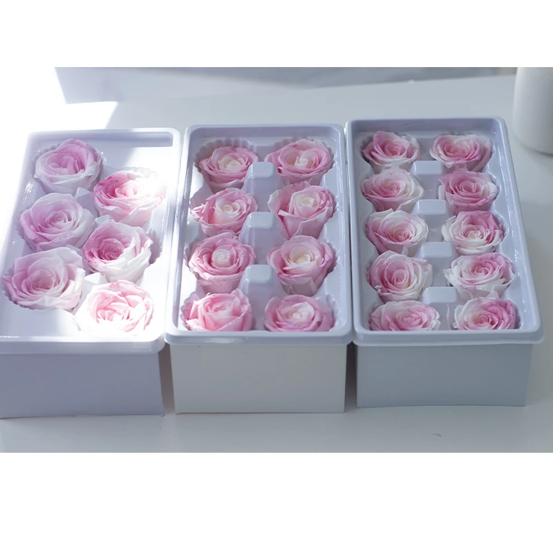 花店福利 A级  人鱼姬/碎冰蓝/粉白渐变玫瑰永生花混搭