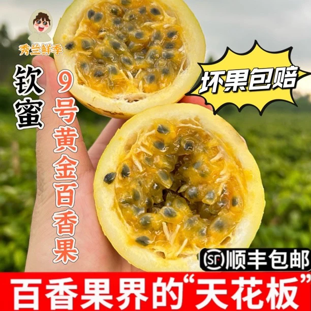 【秀兰鲜季】正宗钦蜜9号黄金百香果饱满多汁净重三斤 顺丰双仓发货