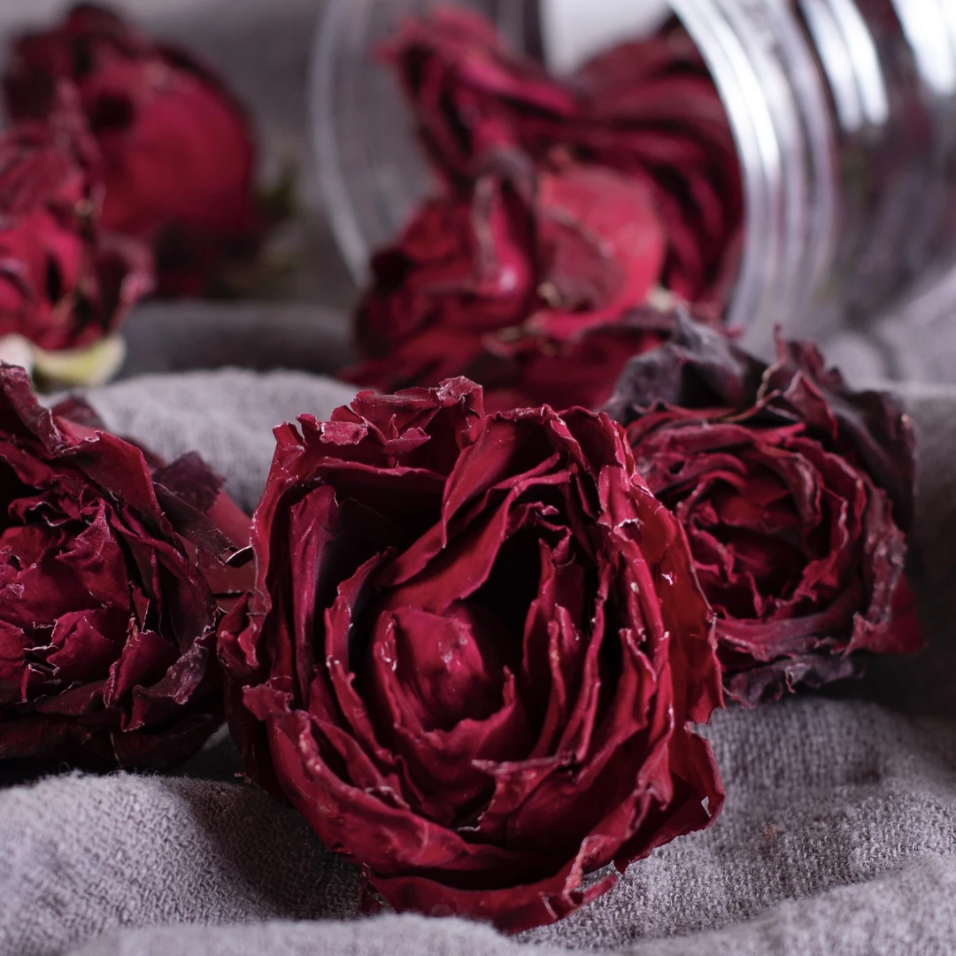 【秀兰鲜季】云南特产大朵冻干墨红玫瑰重瓣高海拔头水花（中通快递）