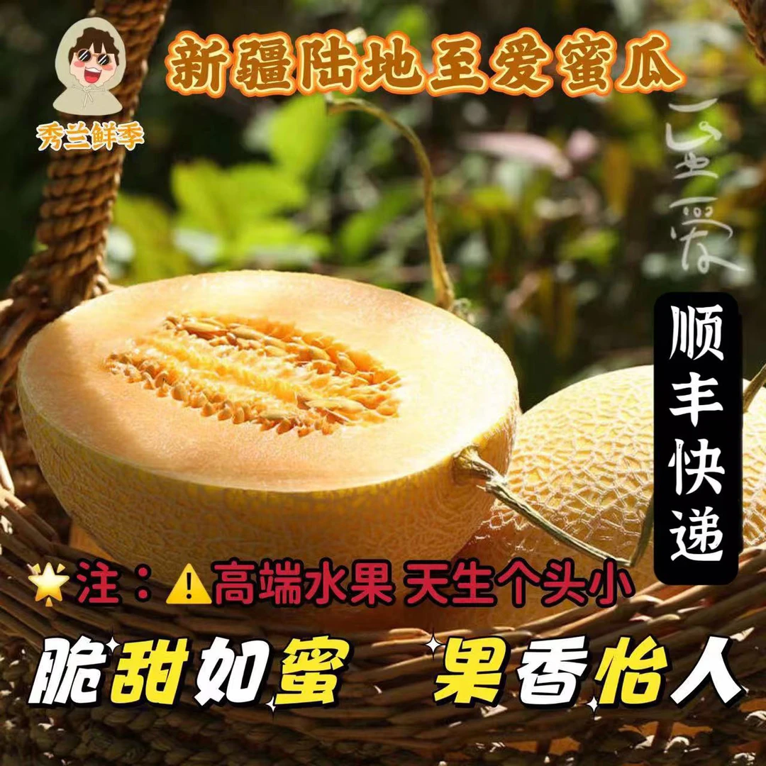 【秀兰鲜季】新疆陆地至爱蜜瓜 现摘现发 顺丰快递