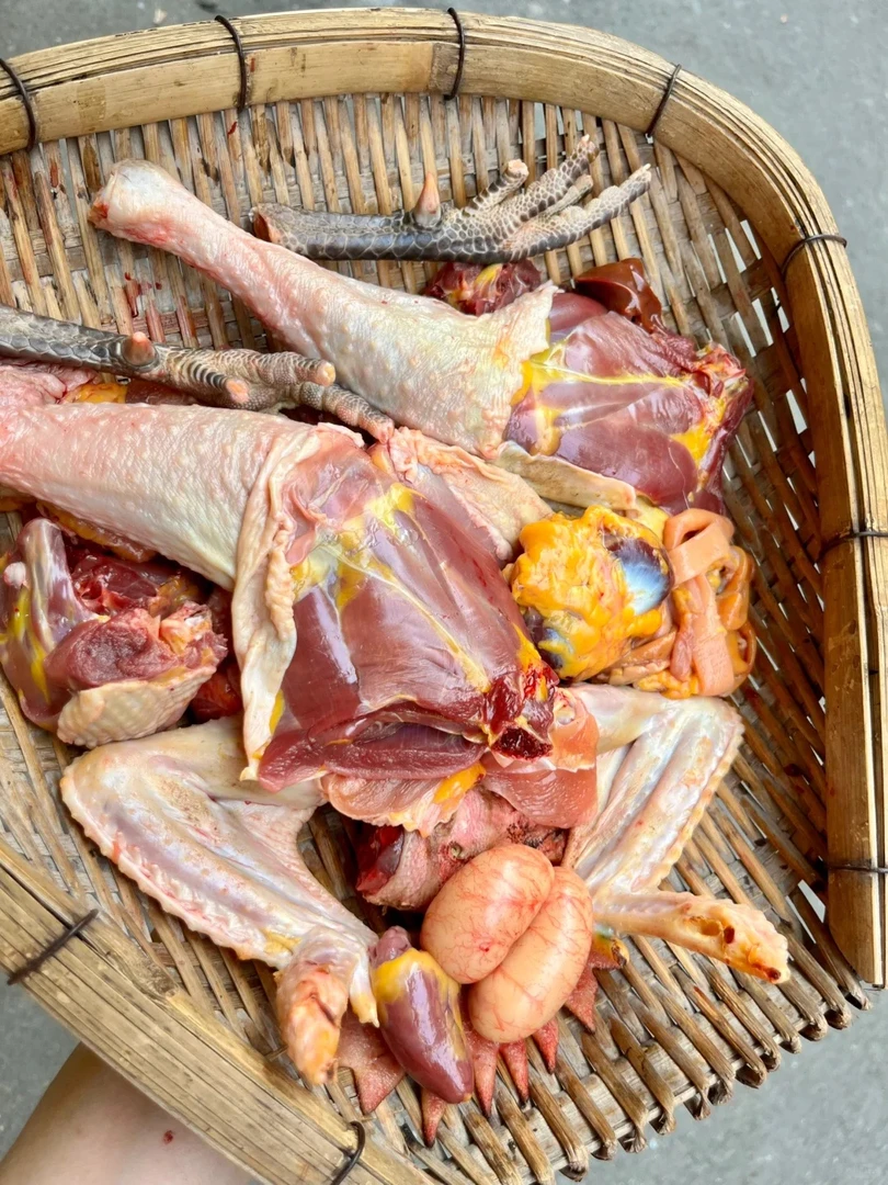 冷冻黑凤大公鸡（一只）