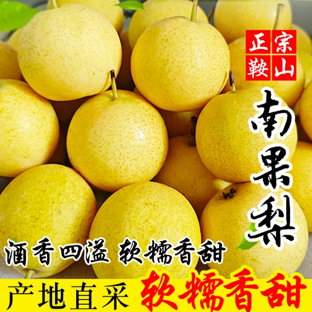 正宗鞍山南果梨/细皮多汁软糯香甜新鲜水果 九龙湖种植基地直发